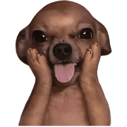 PERRITOS KJ 6