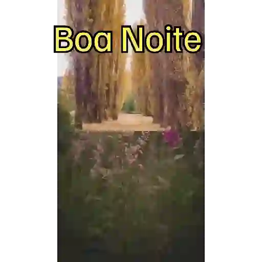 Novo pacote 14