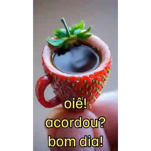 Novo pacote 15