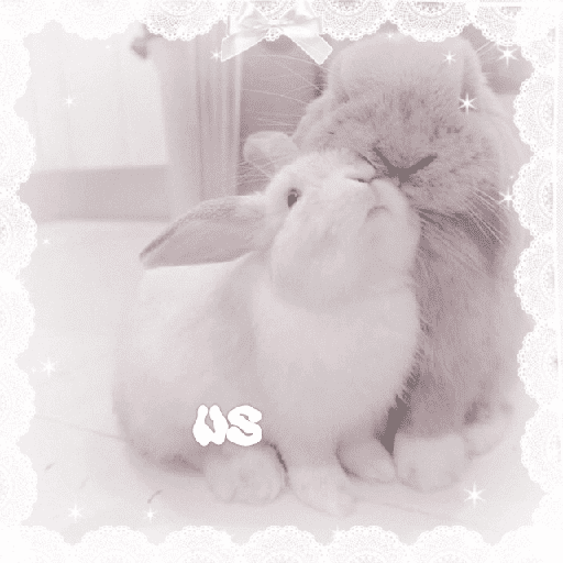 Conejitos  🎀 1