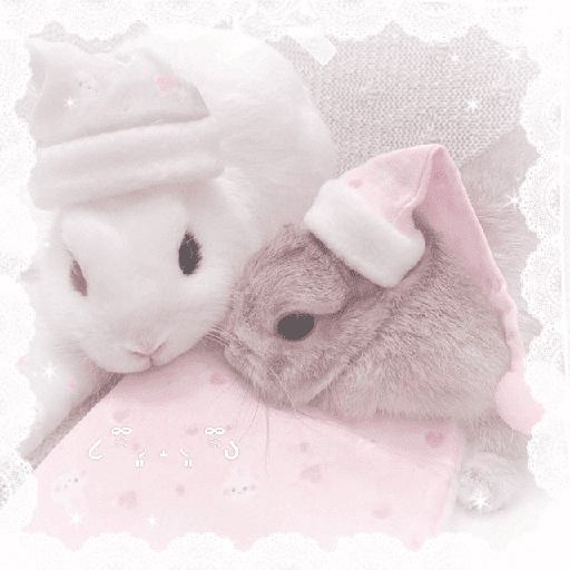 Conejitos  🎀 2