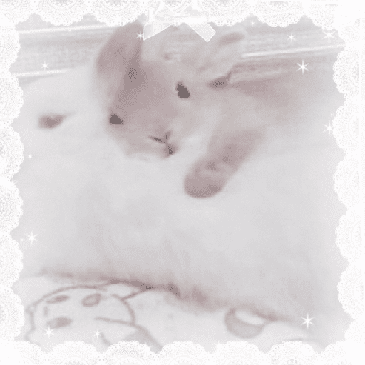 Conejitos  🎀 3