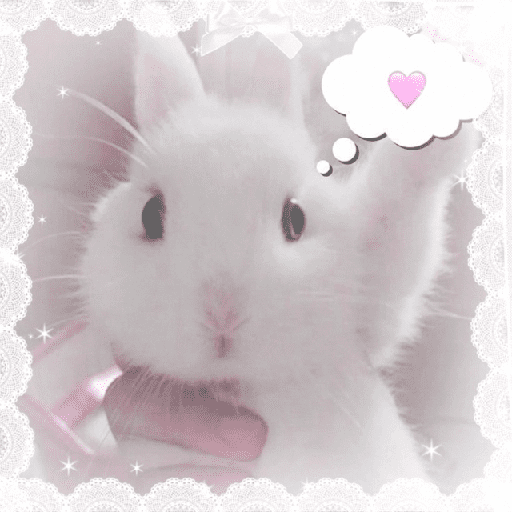 Conejitos  🎀 7