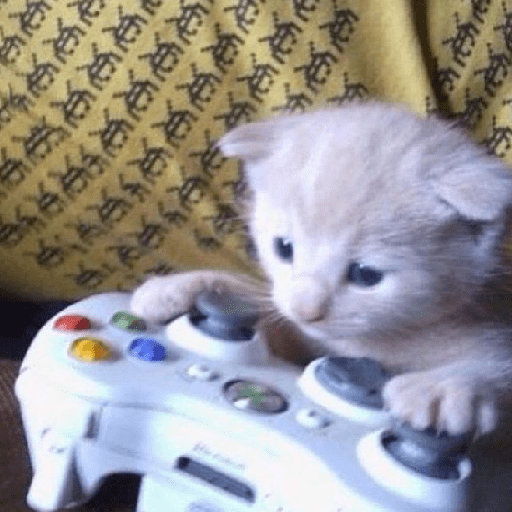 Gatitos 🎀 3