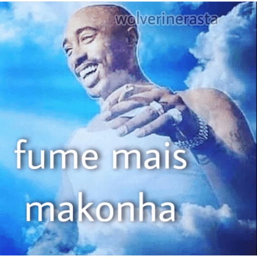 MEMES 25 14