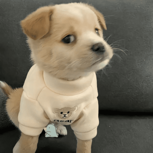 Stickers 15 12