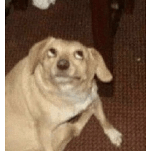 Usuais