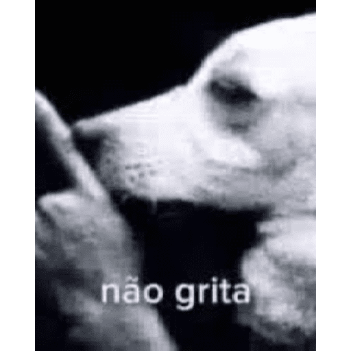 Usuais 19