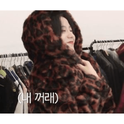 Jisoo y Jennie 13