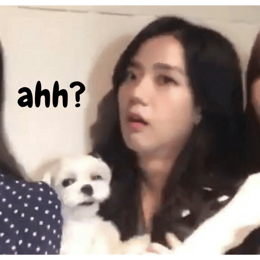 Jisoo y Jennie 9