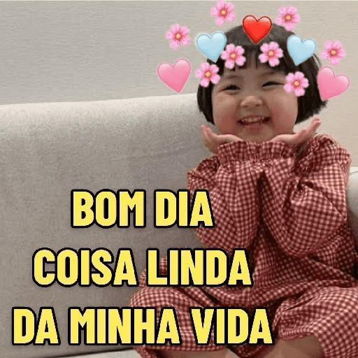 Vamosver/JLins 6