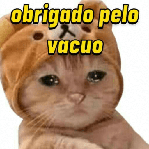 Vamosver/JLins 13