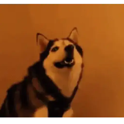 MaMior MalaPalabra 2