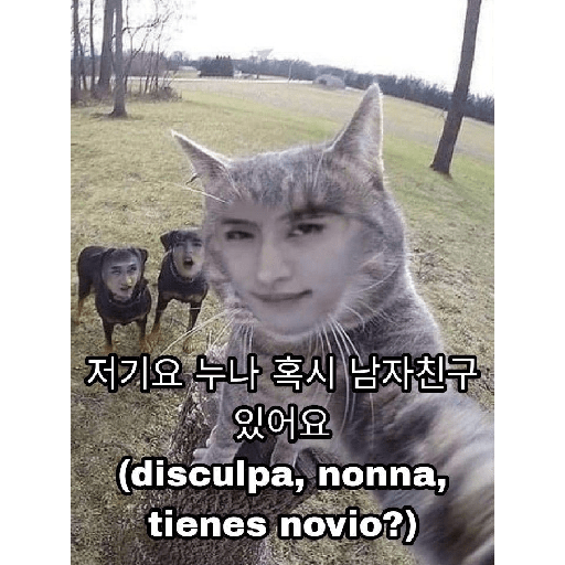 Viva el k-pop 13