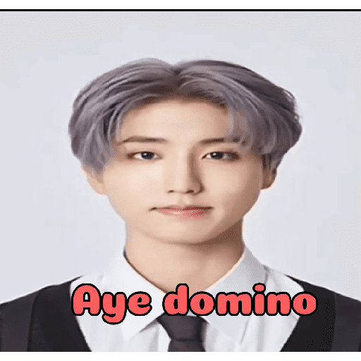 Aye domino  3