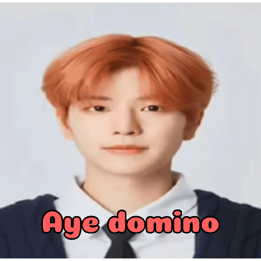 Aye domino  8