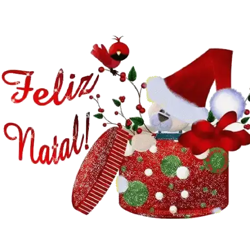 Natal 11