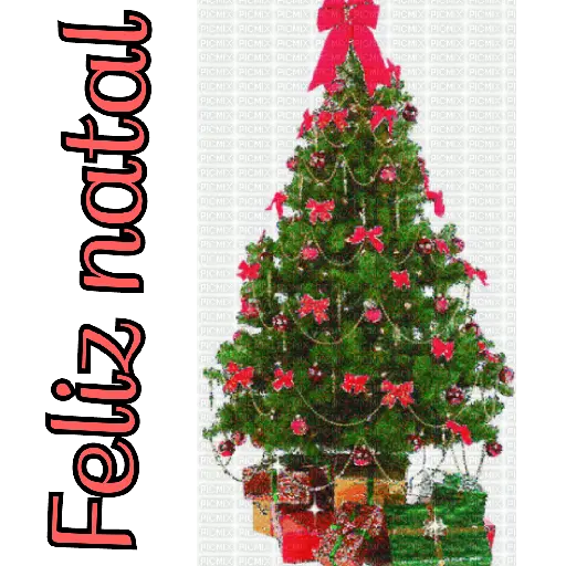 Natal 9