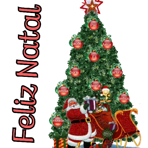 Natal 13