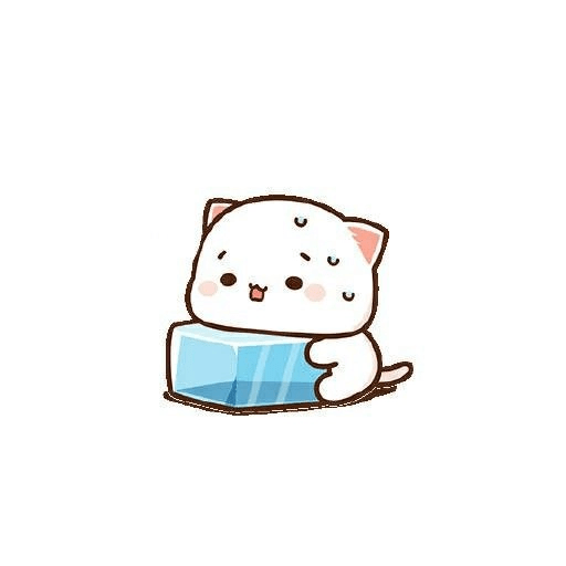 Cat love  3
