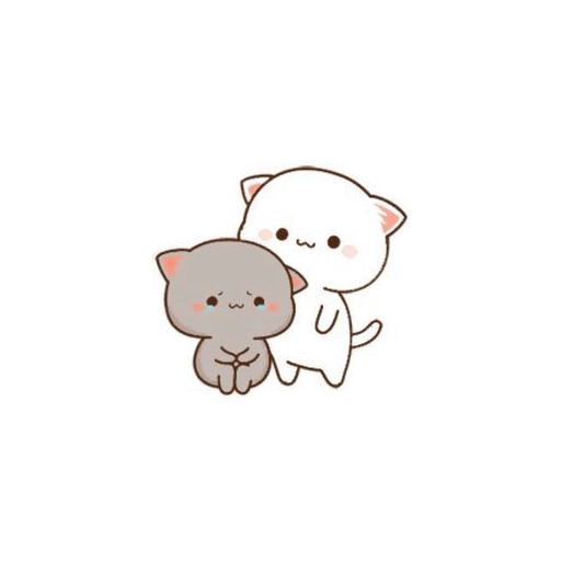 Cat love  4