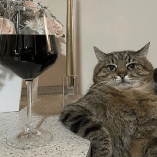 😎 Animales DIVERTIDOS 1 💯😎 4