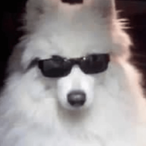 😎 Animales DIVERTIDOS 1 💯😎 3