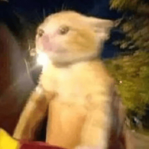 😎 Animales DIVERTIDOS 1 💯😎 5