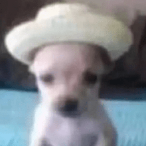 😎 Animales DIVERTIDOS 1 💯😎 7