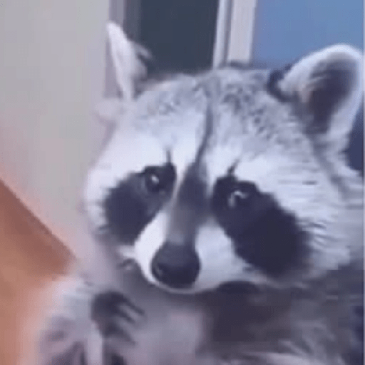 😎 Animales DIVERTIDOS 1 💯😎 9