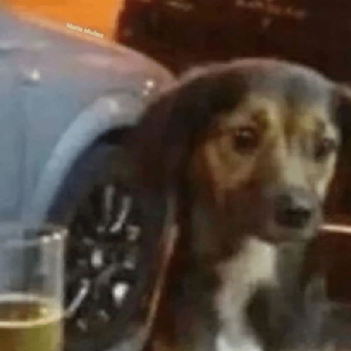 😎 Animales DIVERTIDOS 1 💯😎 10