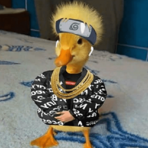 😎 Animales DIVERTIDOS 1 💯😎 12