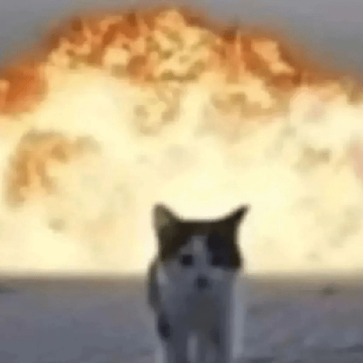 😎 Animales DIVERTIDOS 1 💯😎 13