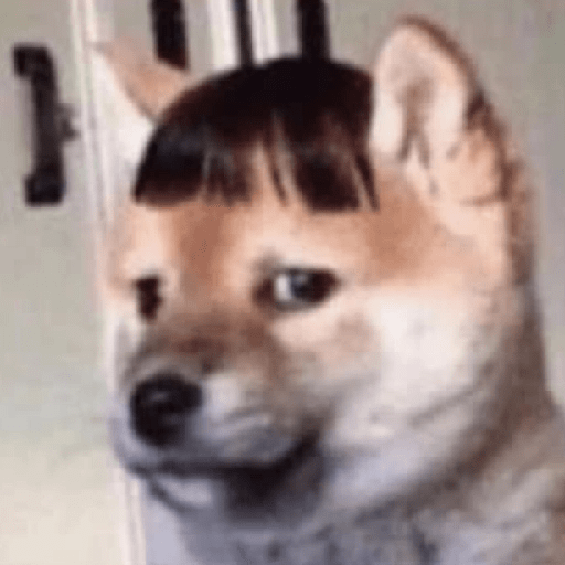 😎 Animales DIVERTIDOS 1 💯😎 14