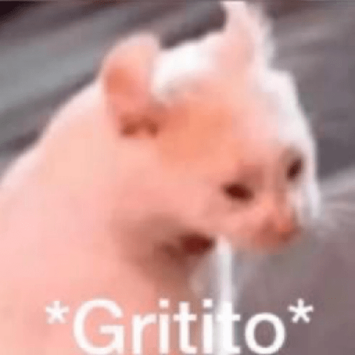 🍃Gatitos para CHAT 💬😼 1 1