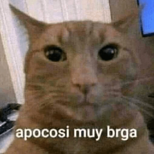 🍃Gatitos para CHAT 💬😼 1 7