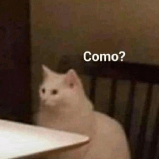 🍃Gatitos para CHAT 💬😼 1 12
