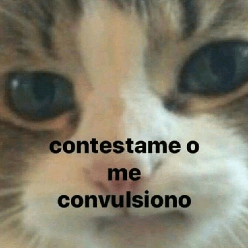 🍃Gatitos para CHAT 💬😼 1 6