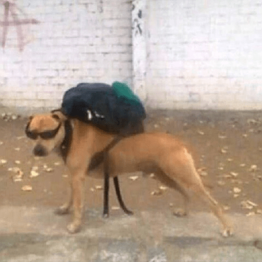 Sticker.ly Chat Stickers & Memes for WhatsApp