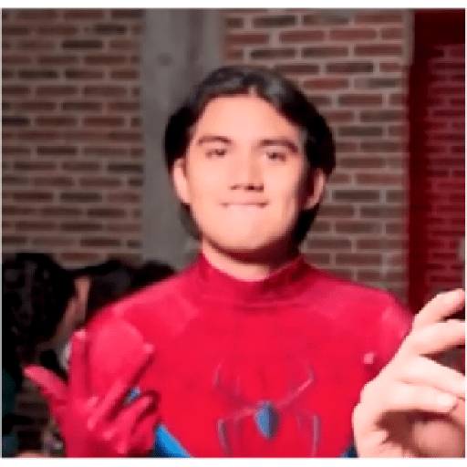 Changovision 26
