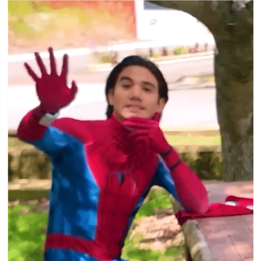 Changovision 2