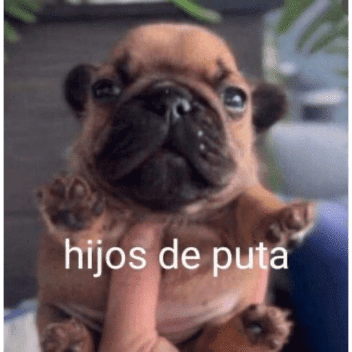 Shitpost con los muchachos xd 2