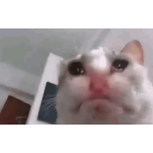 Angy la pelucas 3