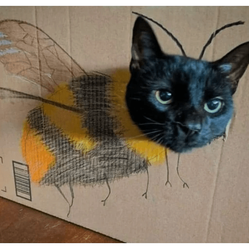 GATOS RANDOM - PARTE 6 22