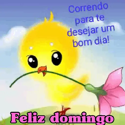 BOM DIA! 18