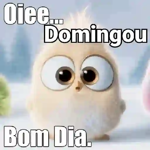 BOM DIA! 19