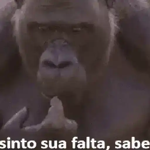 Saudades 6