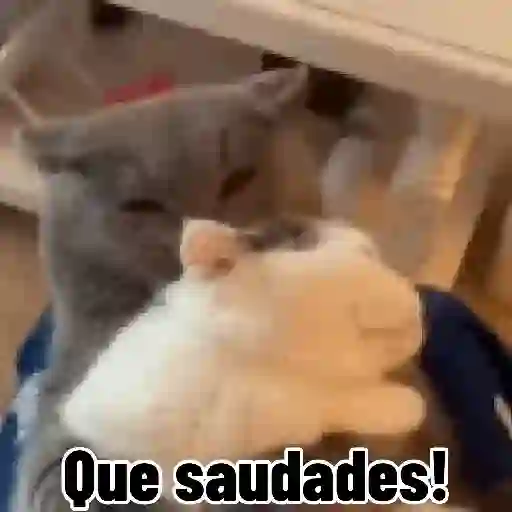 Saudades 3