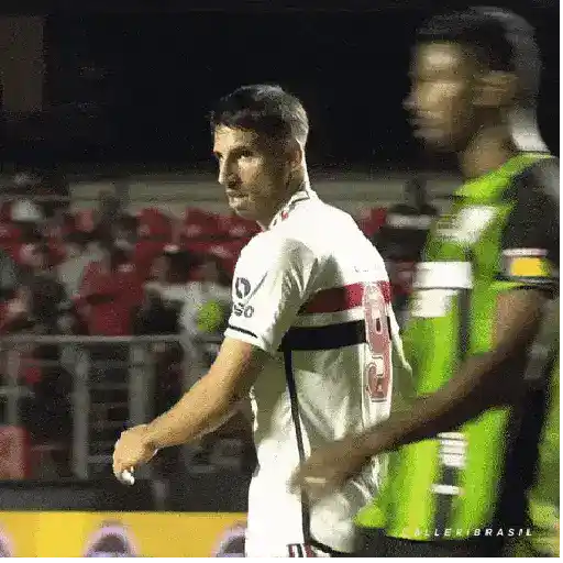 Grupo 15