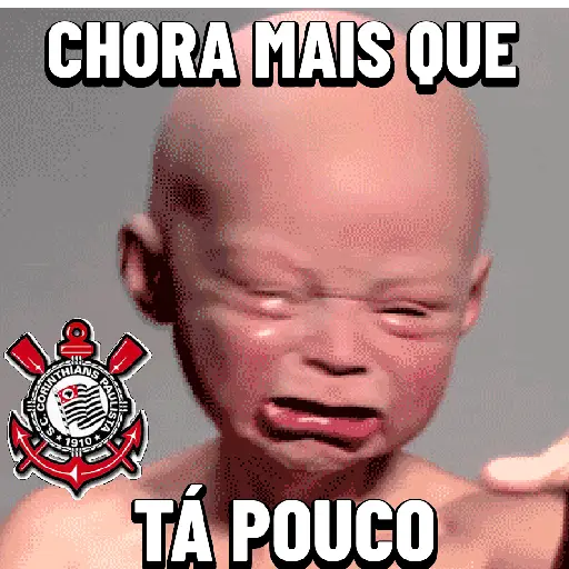 Grupo 6